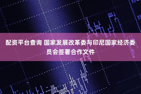 配资平台查询 国家发展改革委与印尼国家经济委员会签署合作文件