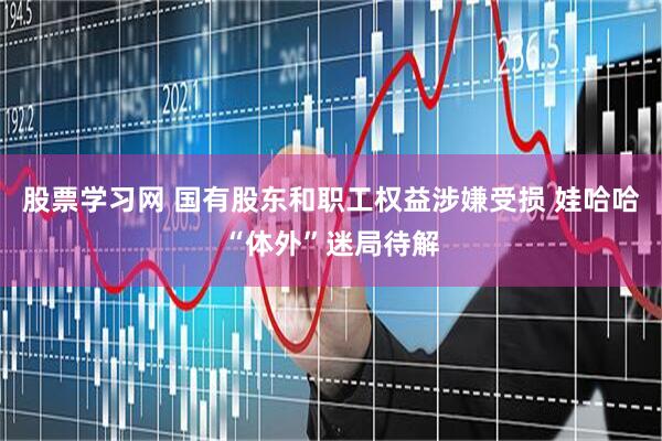 股票学习网 国有股东和职工权益涉嫌受损 娃哈哈“体外”迷局待解