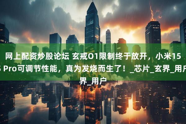 网上配资炒股论坛 玄戒O1限制终于放开，小米15S Pro可调节性能，真为发烧而生了！_芯片_玄界_用户